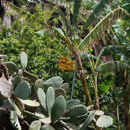 La Casita Del Jardinero Villa Los Llanos De Aridane Eksteriør bilde