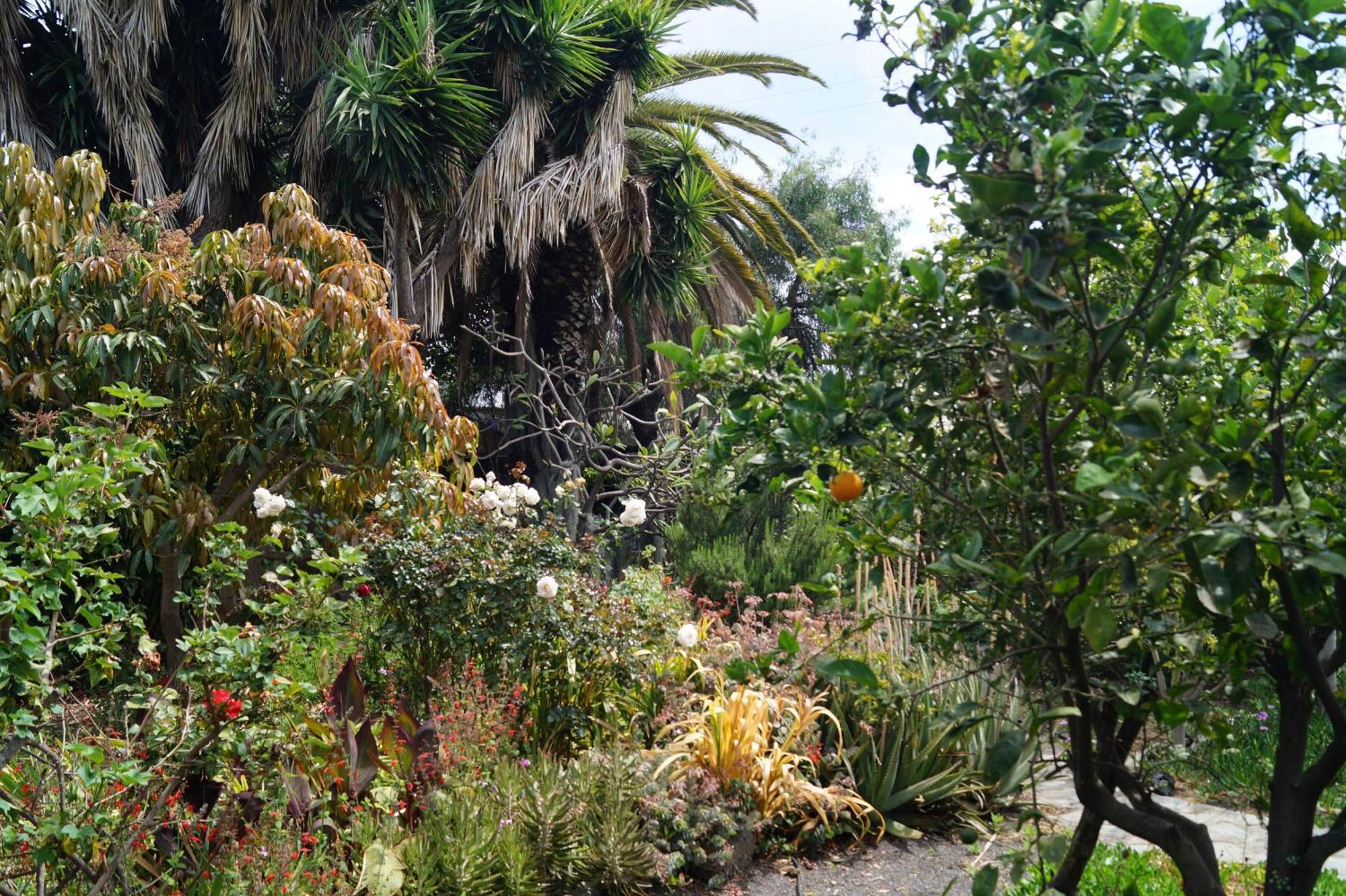 La Casita Del Jardinero Villa Los Llanos De Aridane Eksteriør bilde